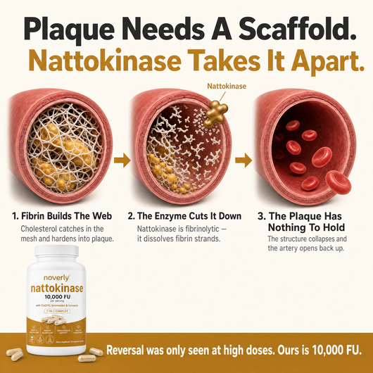Max Potency Nattokinase 10,000 FU — Circulation Support