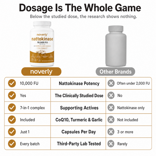 Max Potency Nattokinase 10,000 FU — Circulation Support